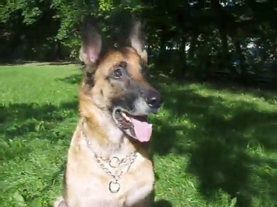 ANKA PATRZY ZA PATYKIEM