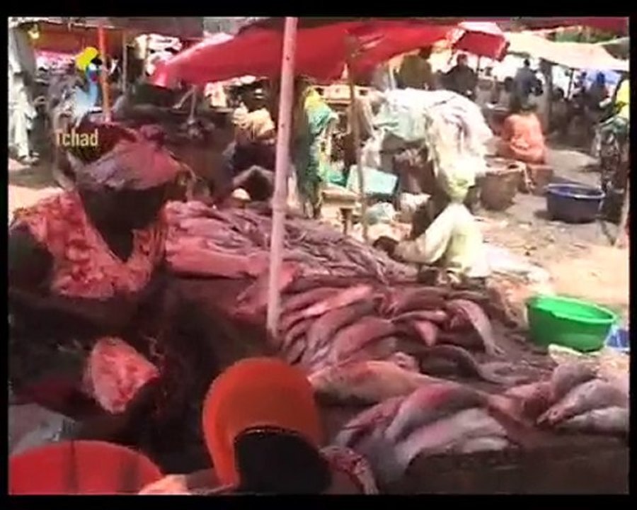 DA BE KAM CE A COMBIEN ÇA !  DU 20/08/2010 PAR TOL TV