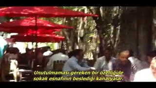 İstanbul Videoları--İstanbul'da Bir Sokak