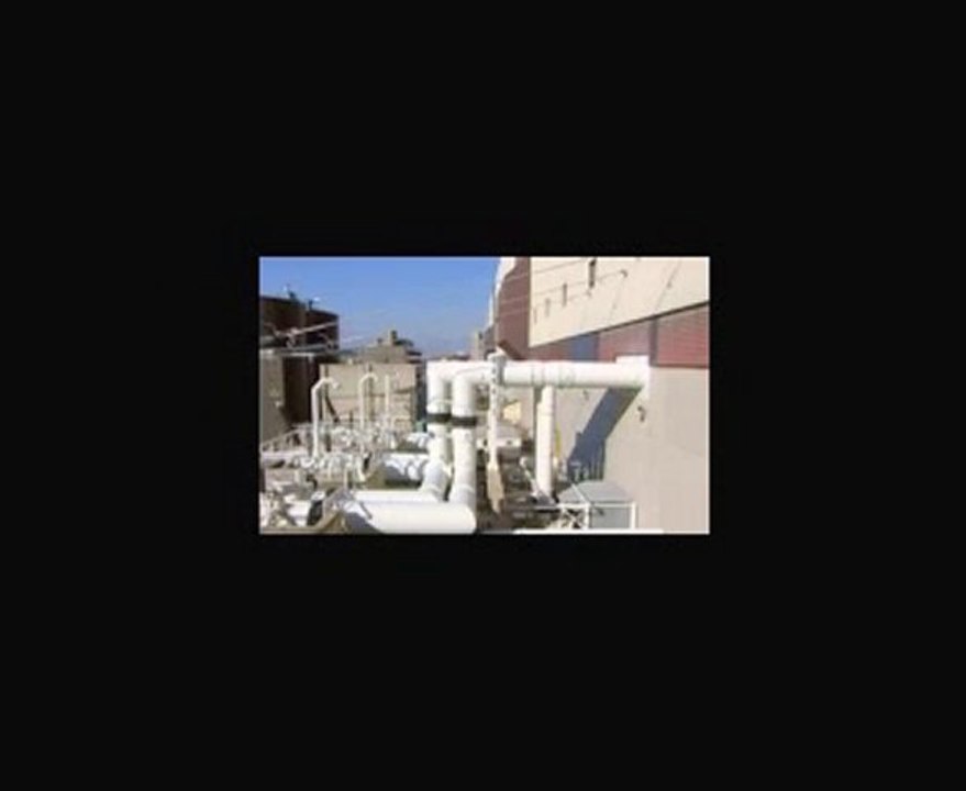 Le Libre Penseur - Réflexions II