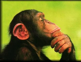 How To: Stupify Society p47 -The Dumbest Generation p6 of 12