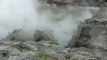 Steam at Rotorua, New Zealand: Hell's Gate Thermal ...