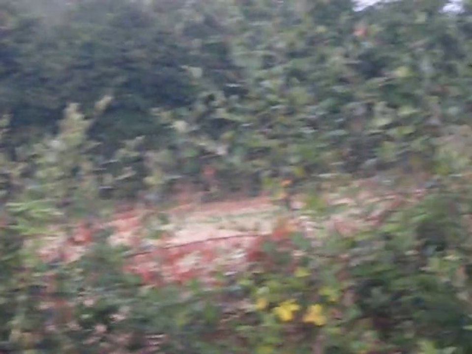 NOS FILA DANS LA NATURE.....EN LIBERTE...