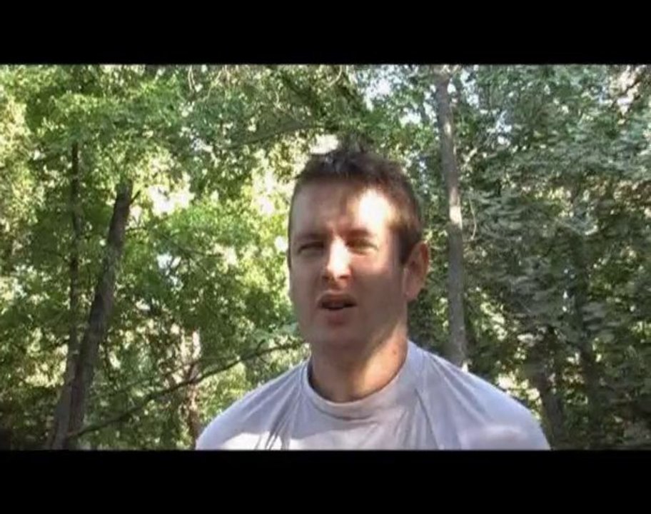 Phoenix -next evolution- (-funglisoft-)