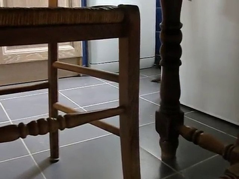 Furette qui joue