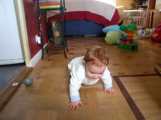 Marche à quatre pattes!