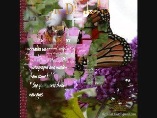 LOOK DESIGNS INFORMATION BROCHURE