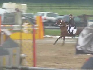 CSO Philippeville - 80 cm.