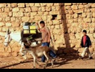 Erdal Güney- Gülbakışlım