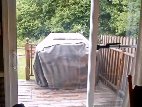 Homes for Sale - 107 Blue Ridge Pl - Newark, DE 19702 - Cold