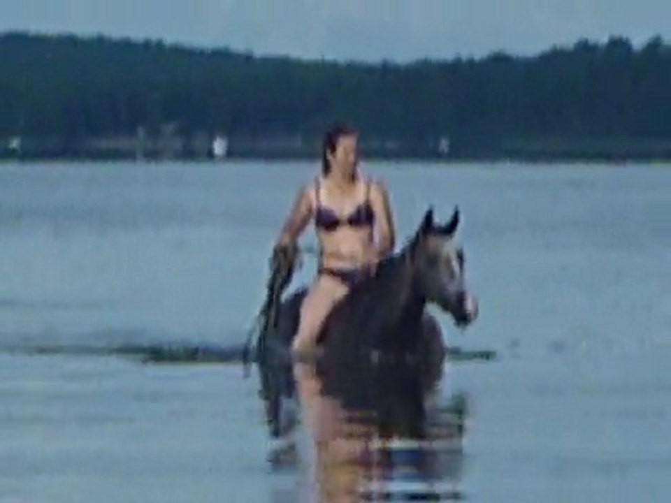 P1160573