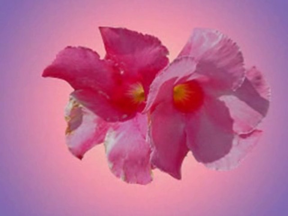 Une chanson Charles Dumont