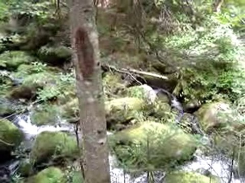 Mont Mégantic Québec 14 Aout 2010