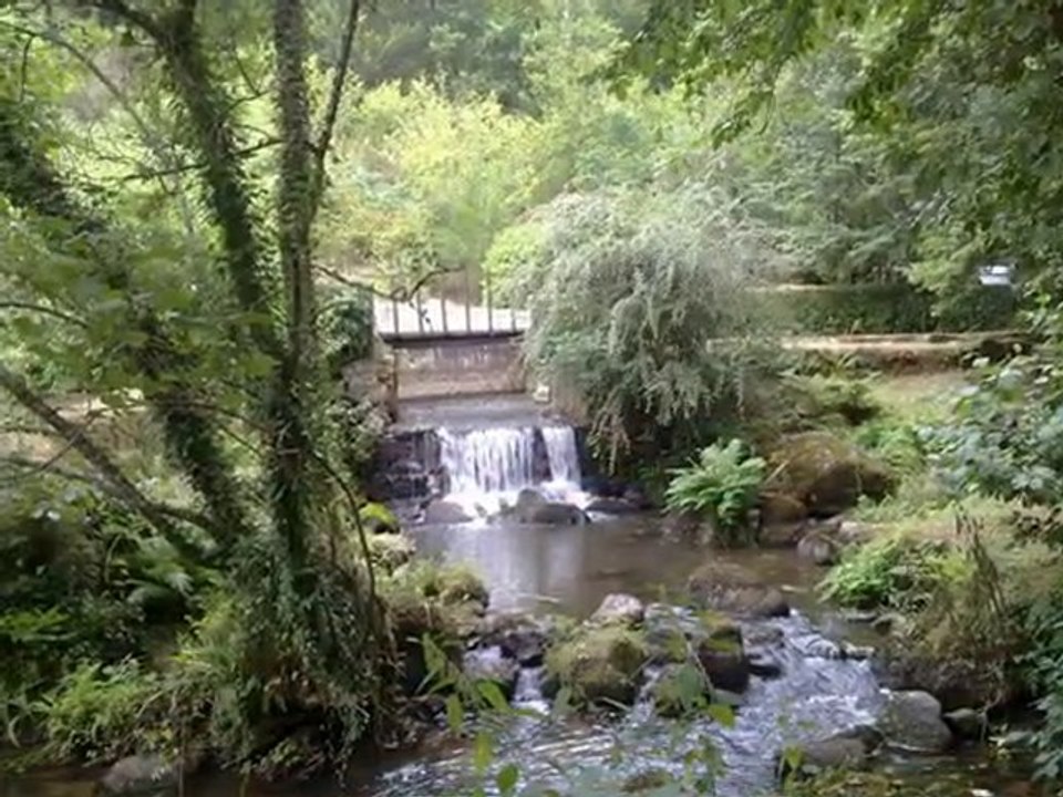 cover neil young harvest