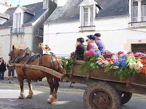défilé fête des mouettes 2010 à Douarnenez