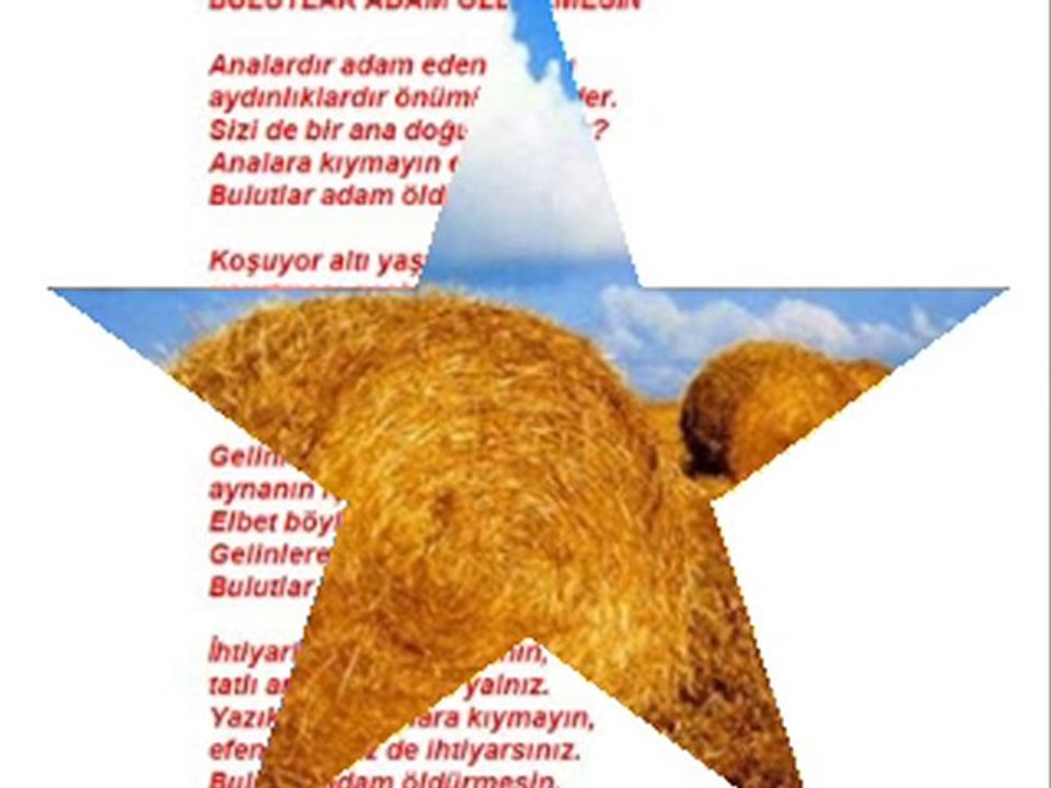 nazım  hikmet  saman  sarısı