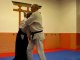 Aikido Mouvements de base + Randoris et Katas au Shinai