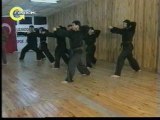 1993 Flaş TV.Kung-fu Öğreniyorum dizi programı