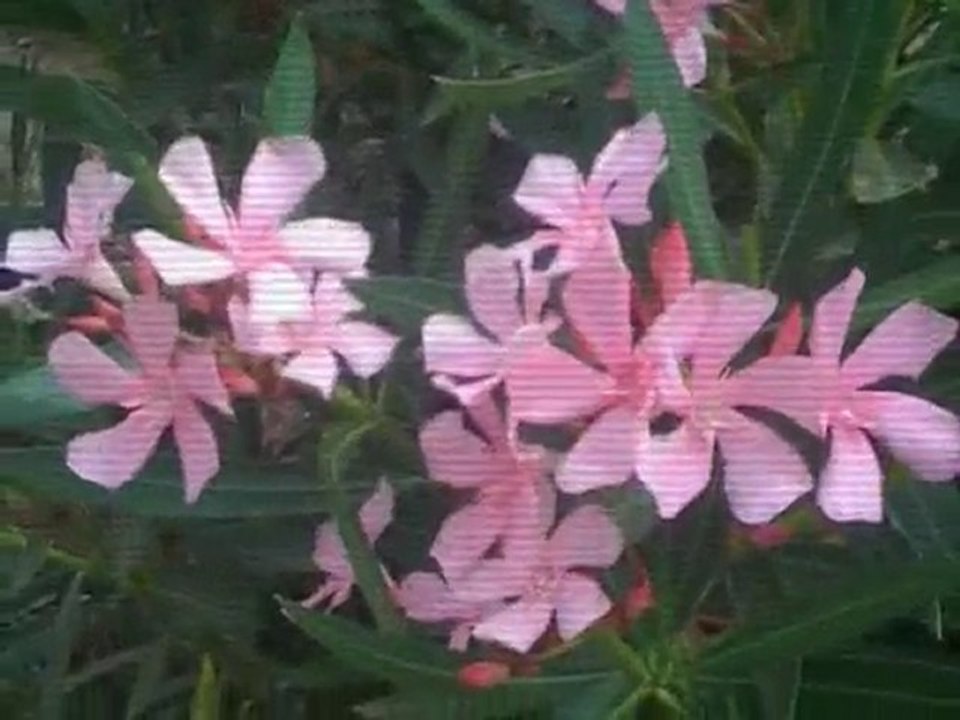 VACANCES DE BARIDA AU MAROC