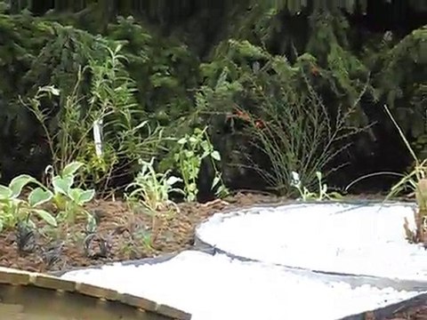 Bassin de jardin 2 par ACCES JARDINS