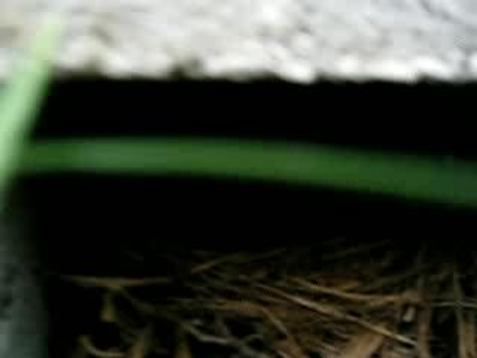 KIF_0178
