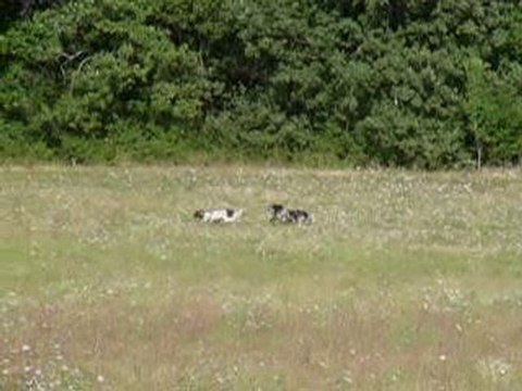 rio des pentes de la rhune