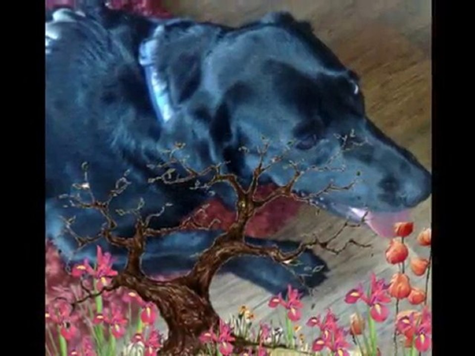 Zirka & Krumelek & Filipek:))