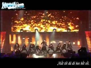 [Vietsub] Super Show perf - Don't Don [s-u-j-u.net]