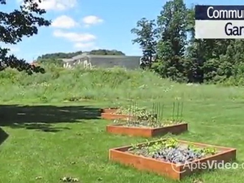 York Creek Apartments in Grand Rapids, MI - ForRent.com