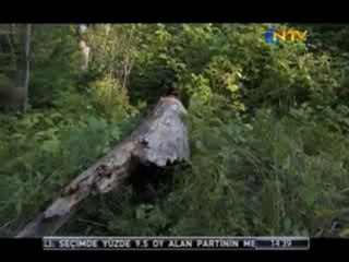 NTV Hayat Belgeseli 6.Bölüm - Part 4 (cevremuhendisligi.org)