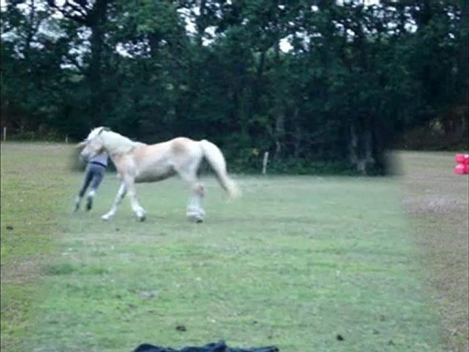 Vacances en bretagne 2010