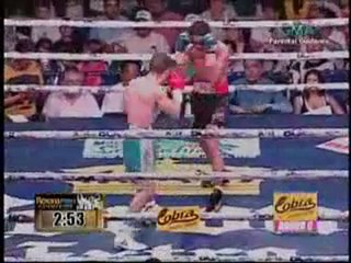 Donnie Nietes vs Mario Rodriguez  8.11