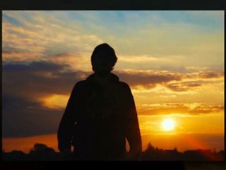 Herbal depression cures