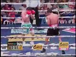 Donnie Nietes vs Mario Rodriguez  7.11