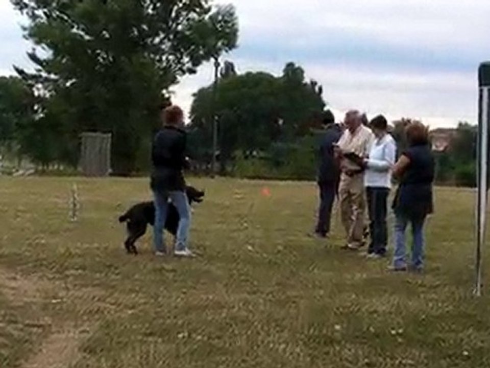 brevet obé avec Briska