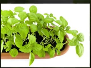 Alternative depression cures