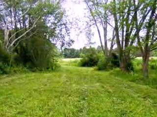 Homes for Sale - 399 Walker School Rd - Townsend, DE 19734 -