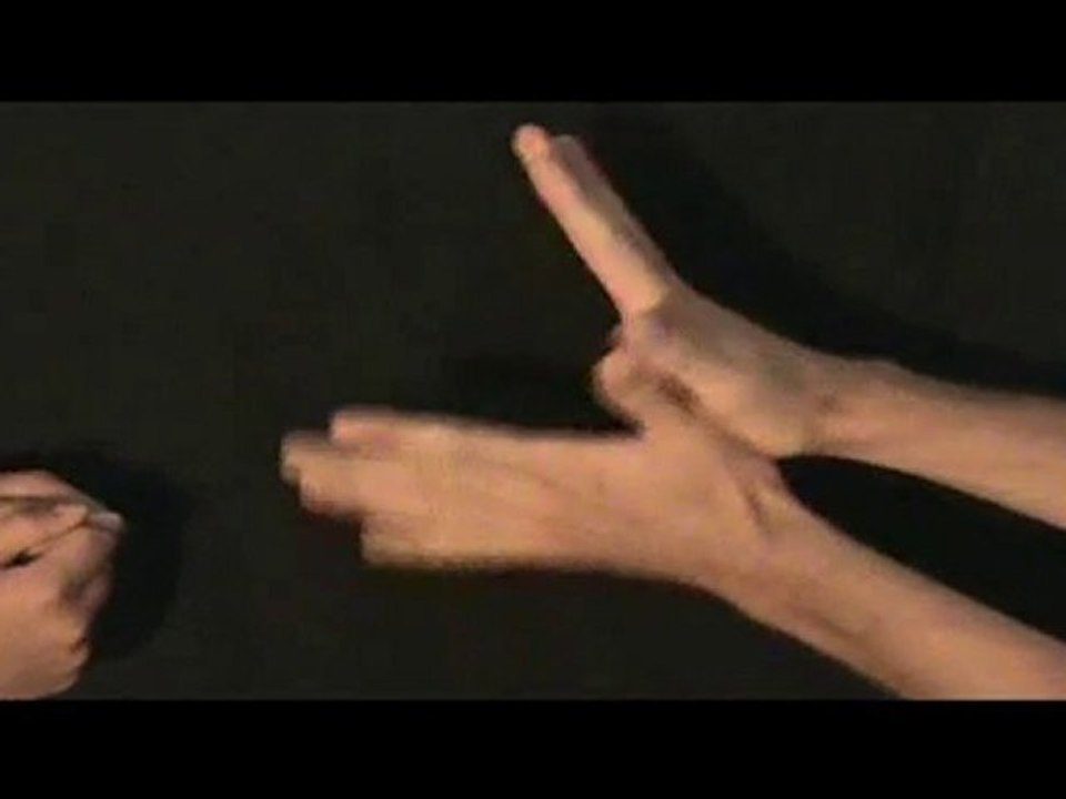 lapinvolant(1)