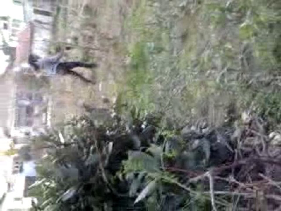 Chahinez voleuse de choux partie 2