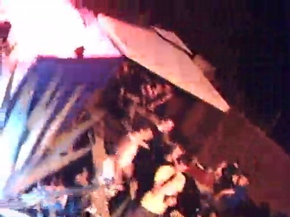 soirée mousse scarabee