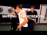 DVD Systema Martin Wheeler: 