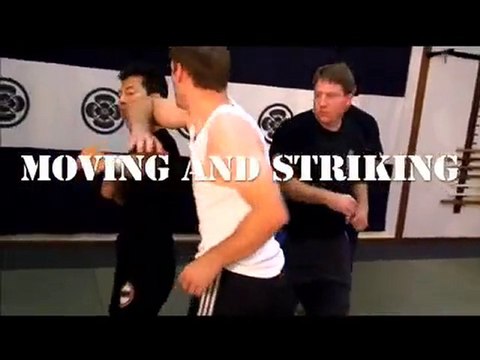DVD Systema Martin Wheeler: Moving and Striking