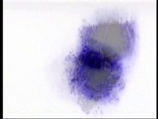 King Looping  - Fusion