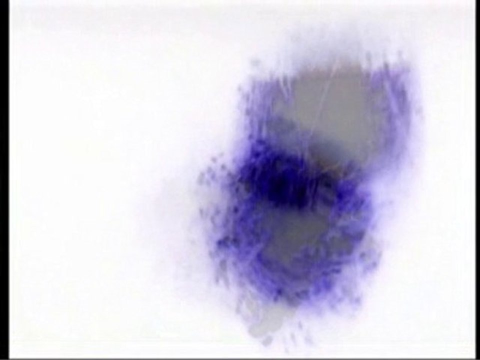 King Looping  - Fusion