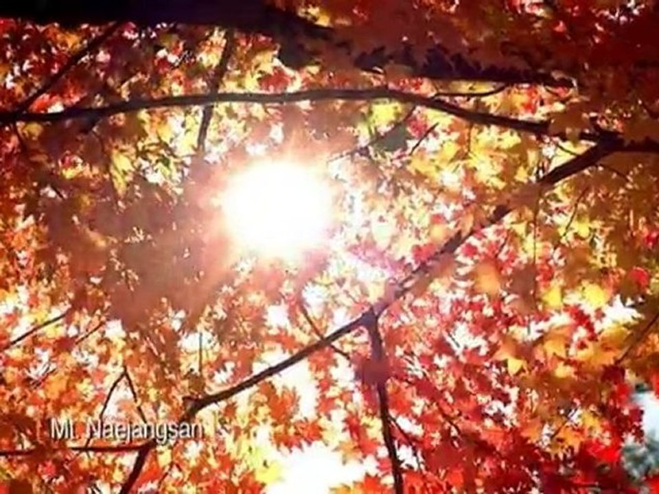 Korea und seine vier Jahreszeiten