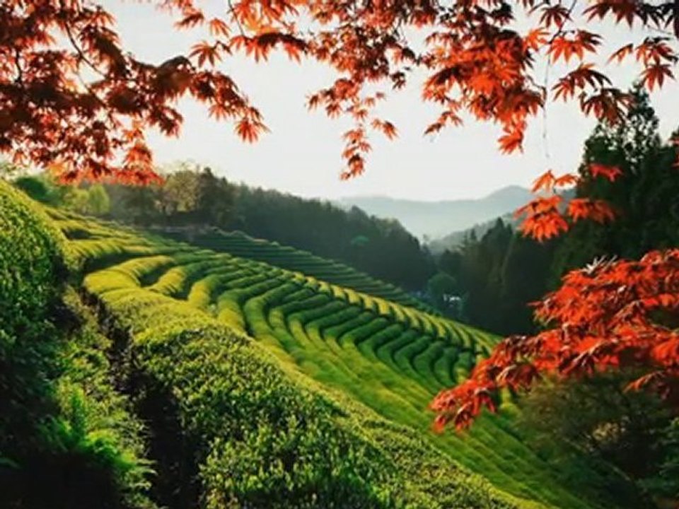 Atemberaubende Natur