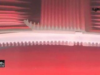 LEKUE COFFRET VAPEUR - www.ideesboutique.com