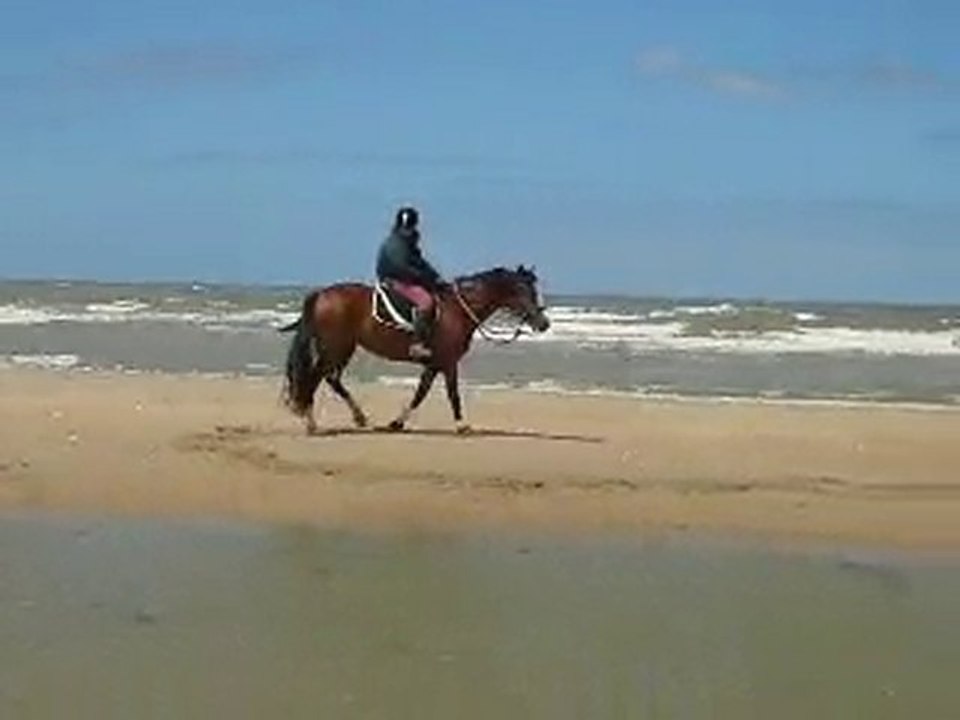 Quara a peur de l'eau