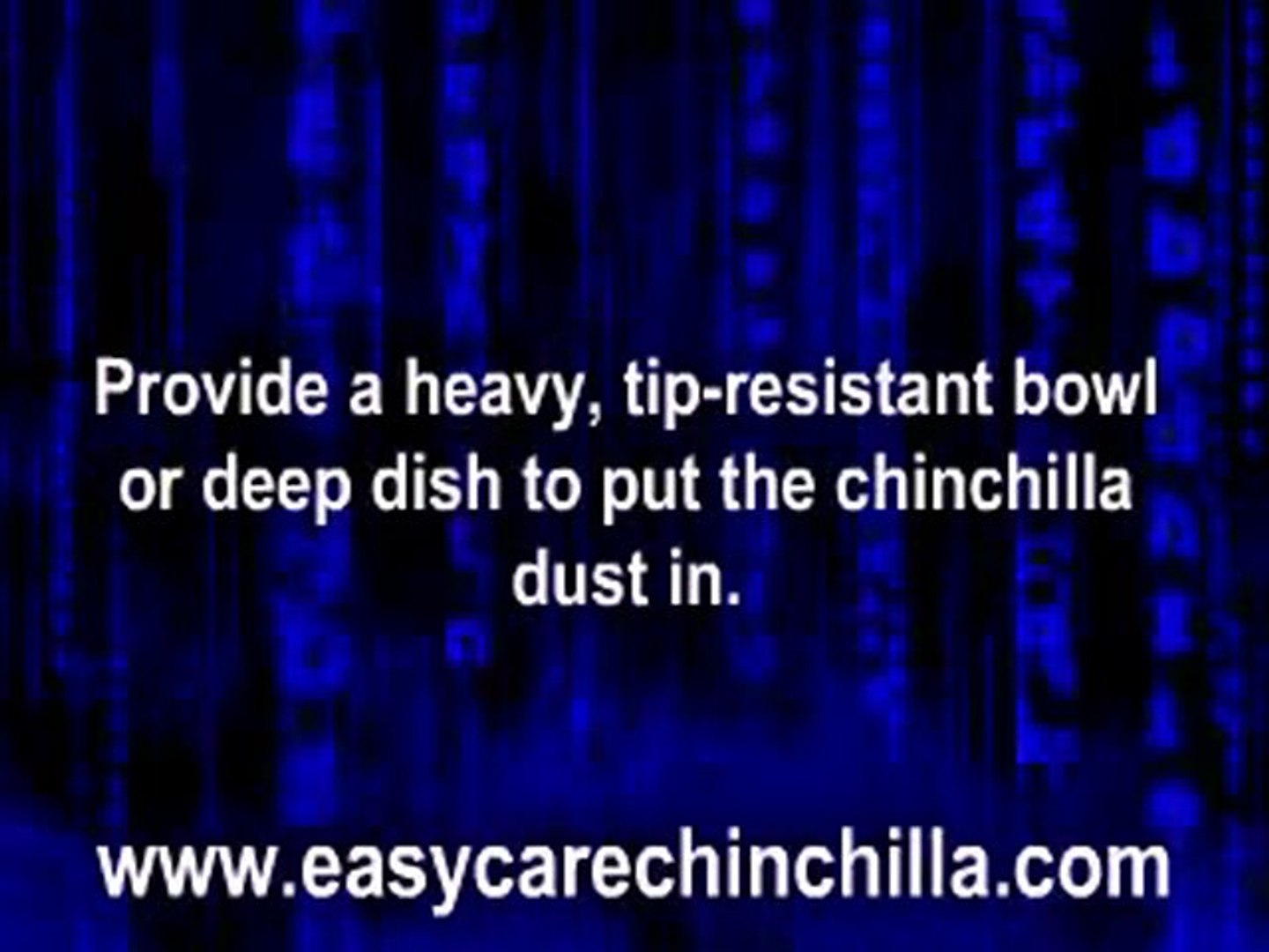 How Do I Give My Chinchilla A Dust Bath