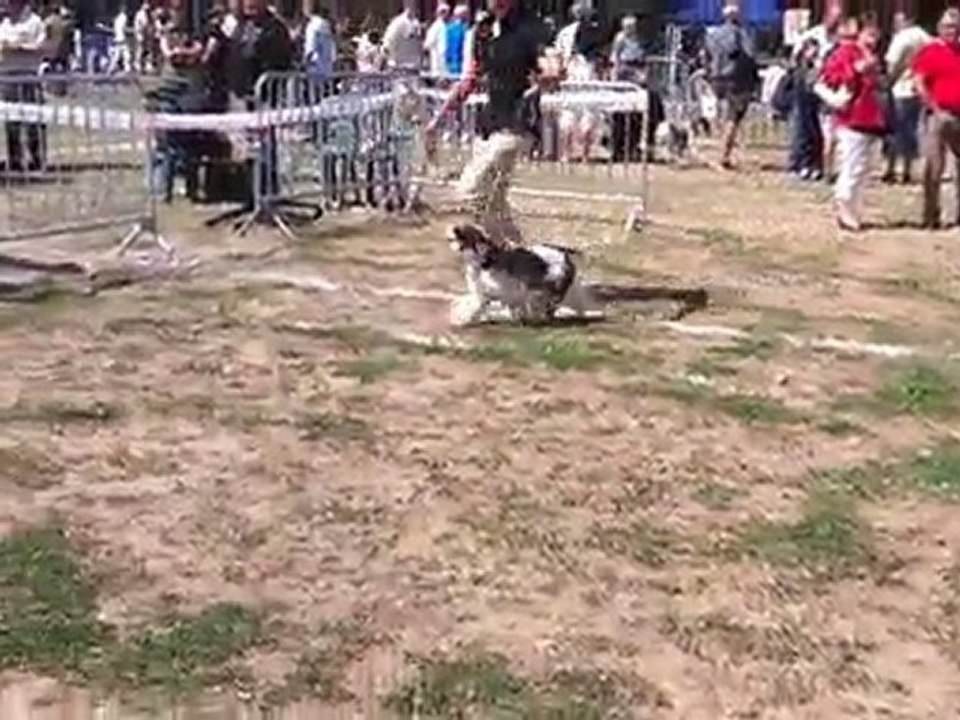 ECLIPSE    CACS MENDE 2010